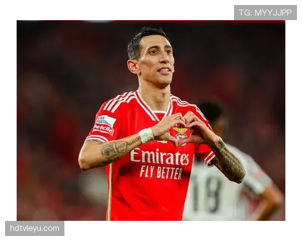 本菲卡灵活变阵显成效，战术创新成球队亮眼表现关键