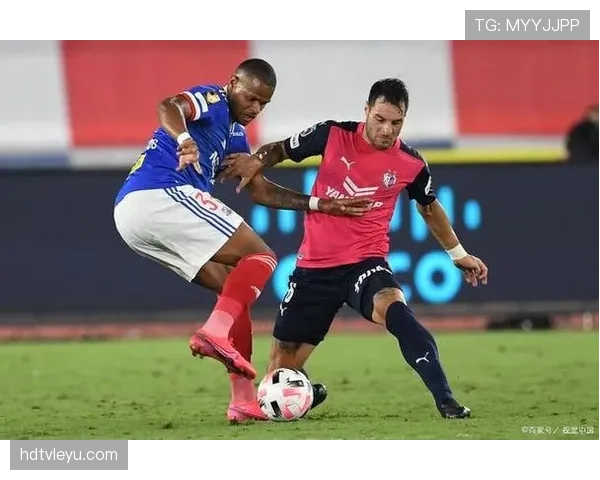 日本队樱花助威状态回暖，凝聚力量迎战世界杯新挑战