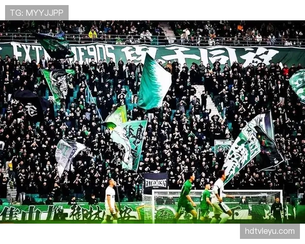 汉堡转会策略 汉堡转会策略