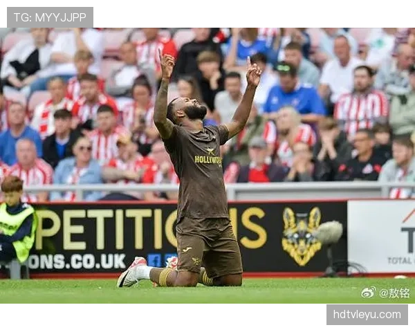 桑德兰青年队冠军