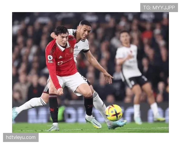 法比尼奥战术适配性