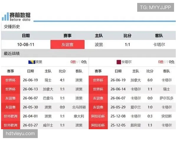 卡塔尔1-3波黑：世界杯B组末轮比赛回顾